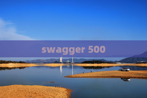 swagger 500